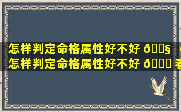 怎样判定命格属性好不好 🐧 （怎样判定命格属性好不好 🍀 看）